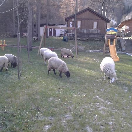 B&B La Miando Salza di Pinerolo Kültér fotó